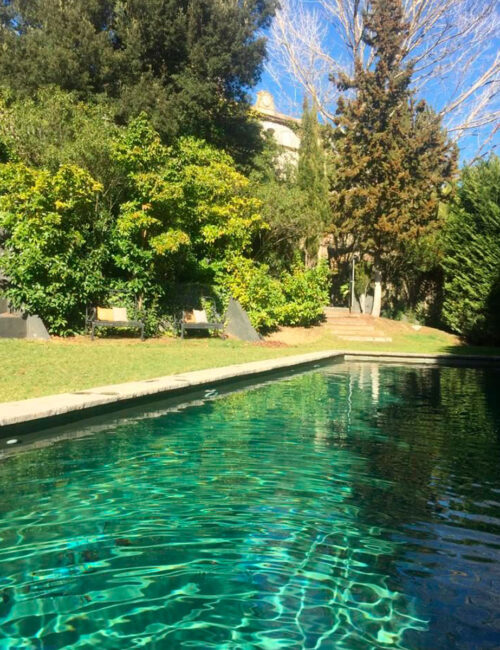 Imagen de los jardines soleados con la piscina de agua verde